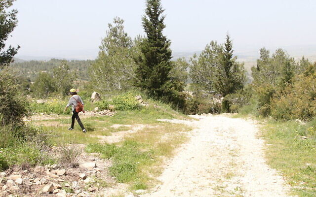 Une photo prise le long de la promenade historique de la forêt de Neve Ilan. (Crédit : Shmuel Bar-Am)