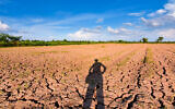 Image d'illustration de la sécheresse et du réchauffement climatique (neenawat ; iStock by Getty Images)