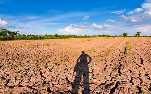 Image d'illustration de la sécheresse et du réchauffement climatique (neenawat ; iStock by Getty Images) Image d'illustration de la sécheresse et du réchauffement climatique (neenawat ; iStock by Getty Images)