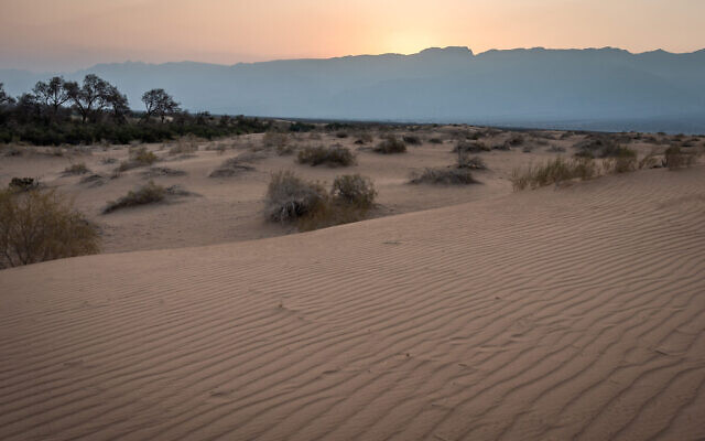 Une photo illustrative de dunes de sable dans la région d'Arava au sud d'Israël, près de la ville d'Eilat sur la mer Rouge, le 30 août 2019. (Mila Aviv/Flash90) Une photo illustrative de dunes de sable dans la région d'Arava au sud d'Israël, près de la ville d'Eilat sur la mer Rouge, le 30 août 2019. (Mila Aviv/Flash90)