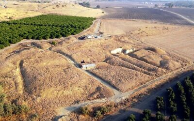Le site archéologique 'Ubeidiya dans la vallée du Jourdain, où les chercheurs ont trouvé une vertèbre humaine d'il y a 1,5 million d'années. (Autorisation/Dr. Alon Barash)
