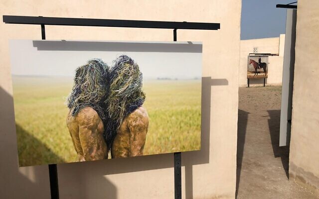 Des œuvres présentées au Rakfaf, le festival des beaux-arts émirati qui présente des œuvres israéliennes et qui a ouvert ses portes le 4 février 2022. (Autorisation: Sharon Toval)
