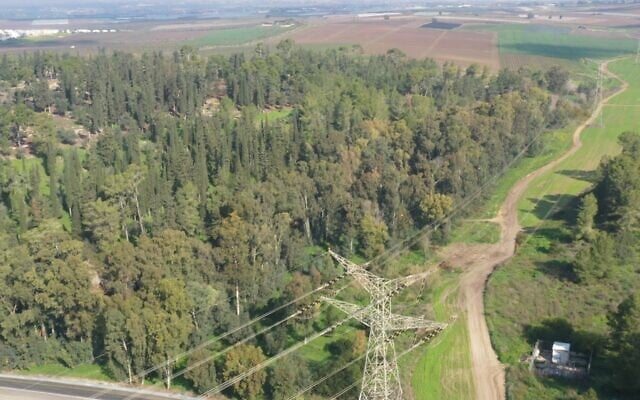 Des lignes à haute tension érigées dans la forêt de Hulda dans les années 1990, à côté desquels une ligne supplémentaire de pylônes et de câbles doit être installée. (Crédit : Conseil régional de Gezer) Des lignes à haute tension érigées dans la forêt de Hulda dans les années 1990, à côté desquels une ligne supplémentaire de pylônes et de câbles doit être installée. (Crédit : Conseil régional de Gezer)
