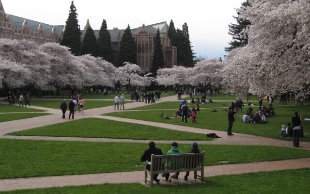 Fleurs de cerisier sur le Quad de l'Université de Washington à Seattle, le 14 mars 2010. (Crédit : Brewbooks via Creative Commons) Fleurs de cerisier sur le Quad de l'Université de Washington à Seattle, le 14 mars 2010. (Crédit : Brewbooks via Creative Commons)