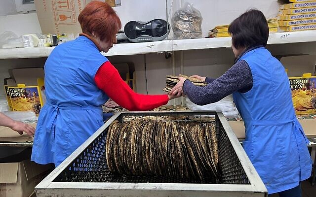 Les usines ukrainiennes représentent environ 15 à 20 % de la part de marché aux États-Unis pour la matzah shmura. (Crédit : Avec l'aimable autorisation de Meyer Stambler/via JTA)