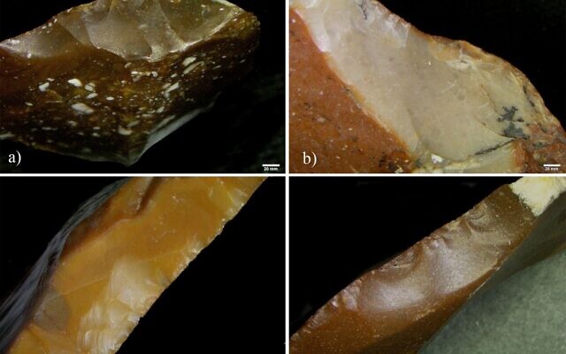 Gros plans sur les flancs actifs de quatre objets en silex prélevés à Revadim. La couleur et la texture sont différentes entre les nouveaux angles qui ont été modifiés et la surface extérieure patinée, plus ancienne. (Crédit : Université de Tel Aviv)