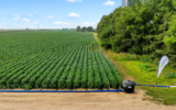 Système d'irrigation goutte à goutte N-Drip aux États-Unis. (Crédit : Martin Hobelman/N-Drip)