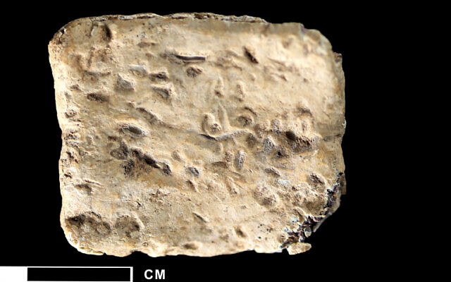 Gros plan de l'extérieur de la tablette de la malédiction en plomb de l'âge du bronze, découverte sur le mont Ebal en 2019. (Crédit : Michael C. Luddeni/Associates for Biblical Research)