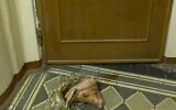 La tête d’un cochon placée devant la porte du domicile d’Alexei Venediktov à Moscou, le 24 mars 2022. (Crédit : Alexei Venediktov par l'intermédiaire de la JTA)