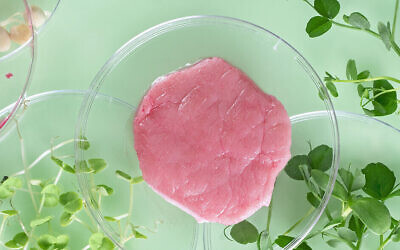 Steak de culture. Illustration. (Crédit: Elena Dy/iStock by Getty Images)