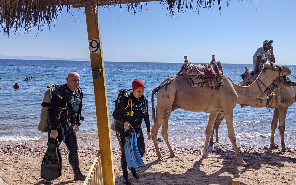 Des plongeurs sortent de l'eau sur le site de plongée des Jardiens de Moray près de Dahab, dans le Sinaï, le 9 novembre 2021. (Crédit : Melanie Lidman/Times of Israel)