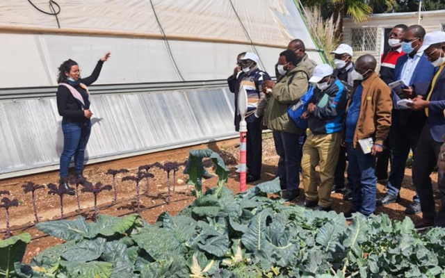 Israël forme 22 responsables du secteur agricole d’Afrique francophone. (Crédit : Mashav) Israël forme 22 responsables du secteur agricole d’Afrique francophone. (Crédit : Mashav)