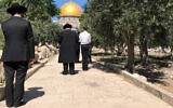 Un groupe de juifs ultra-orthodoxes prient près du Dôme du Rocher, où officiellement, la prière juive est interdite sur le mont du Temple, le 18 juin 2018. (Crédit : Amanda Borschel-Dan/ Times of Israel)