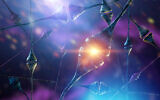 Illustration : Neurones dans le cerveau humain. (Crédit : iStock via Getty Images)
