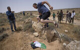 Un partisan du mouvement pro-implantation palestinien saute sur un drapeau israélien saisi à un manifestant alors que des activistes pro-paix israéliens, palestiniens et étrangers tentent d'ouvrir une route passant à proximité de l'implantation israélienne de Mezbi Yair, à Masafer Yatta, en Cisjordanie, le 13 mai 2022. (Crédit : AP Photo/Nasser Nasser)