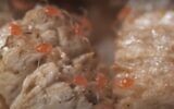 Acariens prédateurs de Phytoseiulus persimilis (Crédit: capture d'écran vidéo)