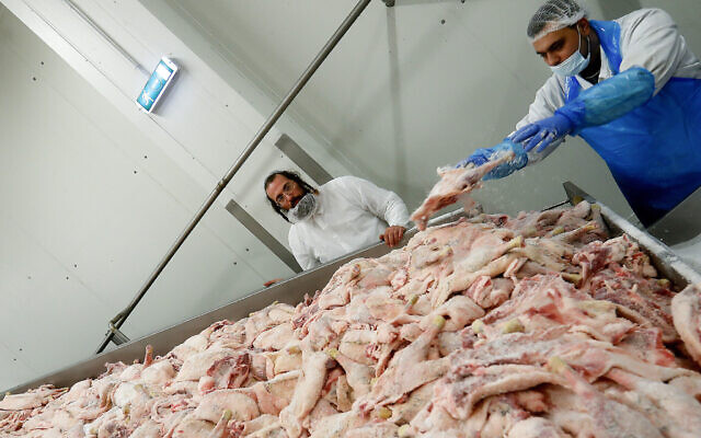 Illustration : Un rabbin orthodoxe contrôlant la qualité de la viande de volailles dans un abattoir casher de Csengele, en Hongrie, le 15 janvier 2021. (Crédit : Laszlo Balogh/AP Photo)