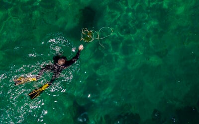 Un plongeur bénévole ramasse des déchets, à l'occasion de la Journée mondiale des océans, dans le port romain de l’ancienne Méditerranée de Césarée, en Israël, le 10 juin 2022. (Crédit : AP Photo/Ariel Schalit)