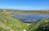 L'ancien étang à poissons de Kfar Ruppin, dans le nord d'Israël, en cours de ré-ensauvagement. (Crédit : Omri salner/Société pour la protection de la nature en Israël)
