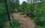 Vue aérienne de la forêt de Bialucki, près d'Ilowo, le 13 juillet 2022. C'est là qu'a été mis au jour, début juillet 2022, le charnier d'environ 8 000 victimes nazies du camp de concentration voisin de Soldau, à Dzialdowo. (Crédit : JANEK SKARZYNSKI / AFP)
