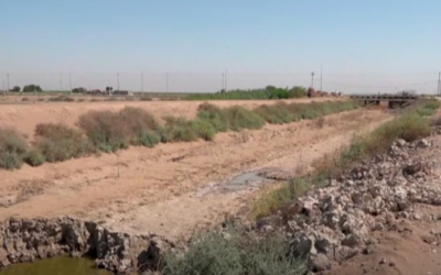 Capture d'écran d'un reportage de France 24 sur la sécheresse en Irak (Crédit : capture d'écran YouTube)