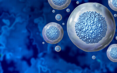 Des cellules souches. (Crédit : wildpixel; iStock by Getty Images)