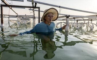 L'artiste israélienne multidisciplinaire Sigalit Landau est photographiée à côté de l'une de ses œuvres d'art, immergée dans l'eau salée de la mer Morte à la station balnéaire d'Ein Bokek, le 2 août 2022. (Crédit : MENAHEM KAHANA / AFP)
