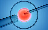 Un spermatozoïde injecté directement dans un ovule lors d'une FIV. (Crédit : Lars Neumann via iStock by Getty Images)