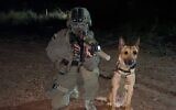Zili, 9 ans, un chien appartenant à l'unité de police antiterroriste de Yamam, sur une photo non datée. Zili a été tué le 9 août 2022, lors d'un raid à Naplouse. (Crédit : Police israélienne)