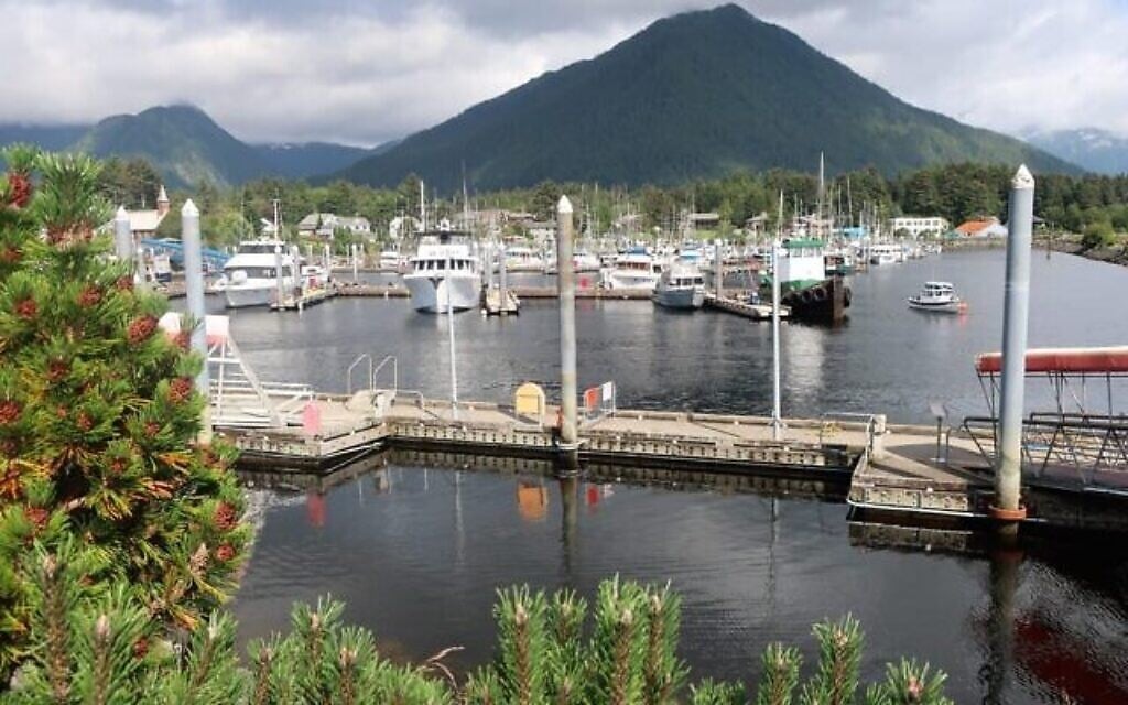Le mont Verstovia surplombe le port de Sitka, en Alaska. (Crédit : Dan Fellner/ JTA)