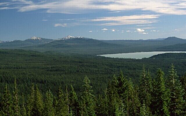 Vue de la forêt nationale d’Umpqua en Oregon, où se trouve le mont Swastika. (Domaine public) Vue de la forêt nationale d’Umpqua en Oregon, où se trouve le mont Swastika. (Domaine public)