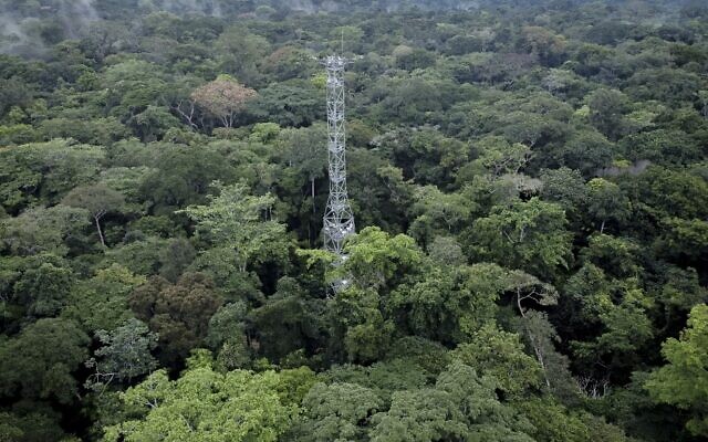 Des arbres dans la forêt de Yangambi avec la tour de flux, à 100 km de la ville de Kisangani, dans la province de la Tshopo, au nord-est de la République démocratique du Congo, le 2 septembre 2022. - La tour de flux de 55 mètres de haut, qui quantifie le carbone, absorbé ou émis par la forêt, se dresse dans le cadre luxuriant de la réserve de biosphère de Yangambi, qui s'étend sur quelque 250 000 hectares le long du fleuve Congo, dans la province de la Tshopo. (Crédit : Guerchom Ndebo / AFP)