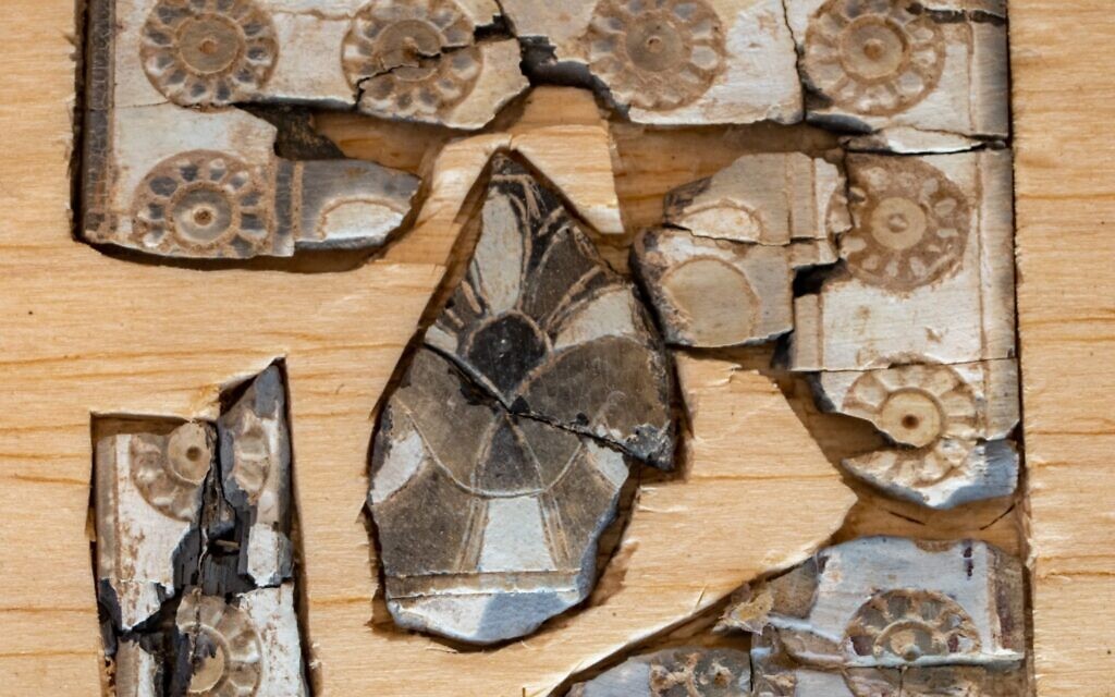 Des morceaux d'ivoire incisés de rosettes. (Crédit : Cité de David)