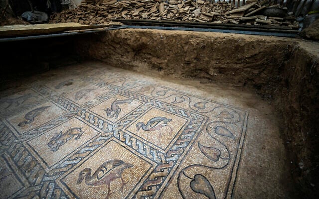 Des détails de parties d'un sol en mosaïque de l'époque byzantine sont découverts par un agriculteur palestinien à Bureij, dans le centre de la bande de Gaza, le 5 septembre 2022. (Crédit : AP Photo/Fatima Shbair)