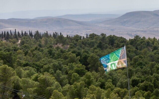Illustration : La forêt de Yatir du KKL-JNF dans le sud d'Israël. (Crédit : Alex Kolomoisky)