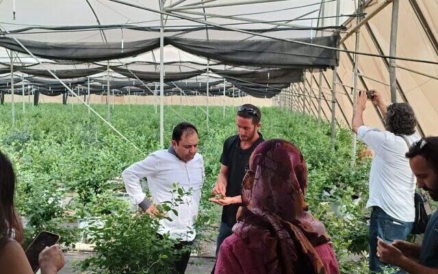 Des leaders pakistano-américains examinent des technologies agricoles en plein désert dans le conseil régional de  Shaar HaNegev, le 19 septembre 2022. (Crédit : Sharaka)
