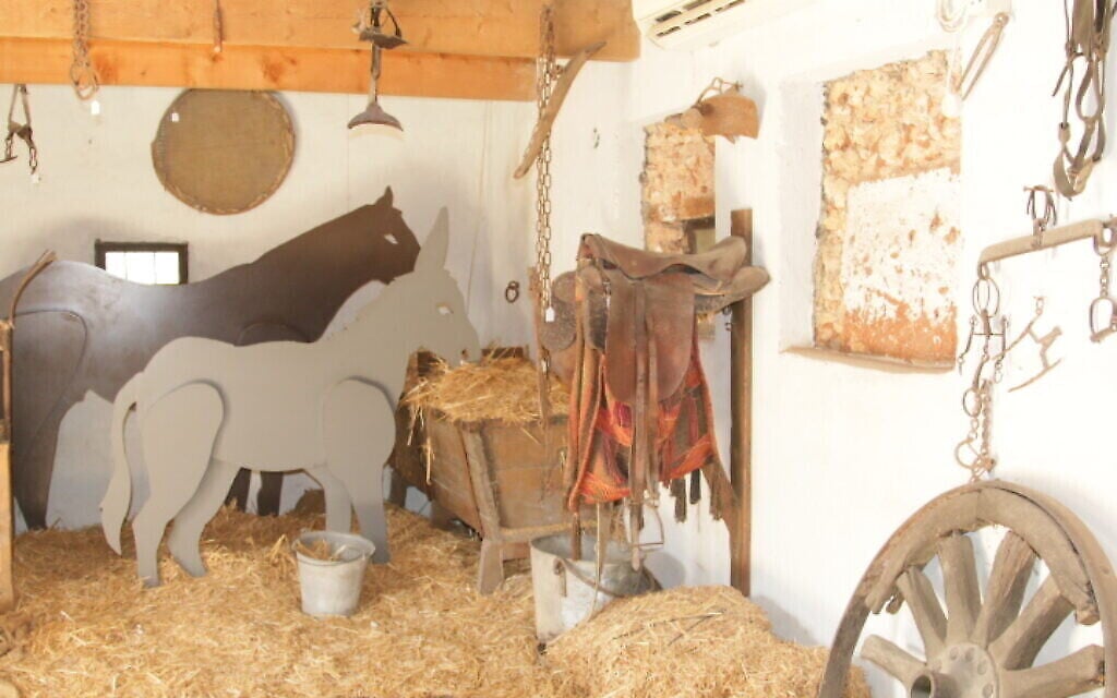 L’exposition 'Du cheval au bus' à la résidence Shalit à Rishon Lezion. (Crédit : Shmuel Bar-Am)