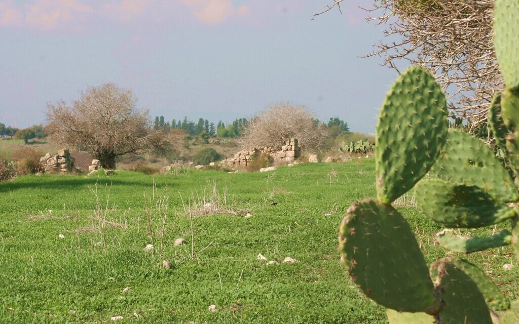  Le site d'Usha, lors d'une précédente visite en 2002. (Crédit : Shmuel Bar-Am)