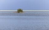 Une volée d'oiseaux vole au-dessus d'une forêt de mangroves sur le site d'un projet de reboisement de mangroves parrainé par l'État dans la région de Hamata au sud de Marsa Alam, le long de la côte sud de la mer Rouge égyptienne, le 16 septembre 2022.(Crédit : Khaled DESOUKI / AFP)