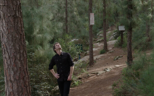 Jason Sherman se promène dans une forêt de pins en Israël à la recherche de son arbre, dans le film documentaire "My Tree". (Crédit : John Minh Tran)