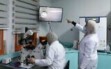 Illustration : Des médecins et des techniciens palestiniens travaillant dans le laboratoire de fécondation in vitro de la clinique de fertilité Razan Center, à Naplouse, en Cisjordanie, le 27 janvier 2021. (Crédit : Jaafar Ashtiyeh/AFP)