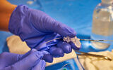 Un médecin préparant une péridurale. (Crédit : Dmitry Andreev via iStock par Getty Image)
