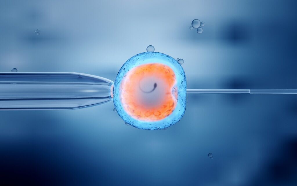 Illustration : Fécondation in vitro (FIV) d'un ovule. (Crédit : iStock by Getty Images/man_at_mouse)