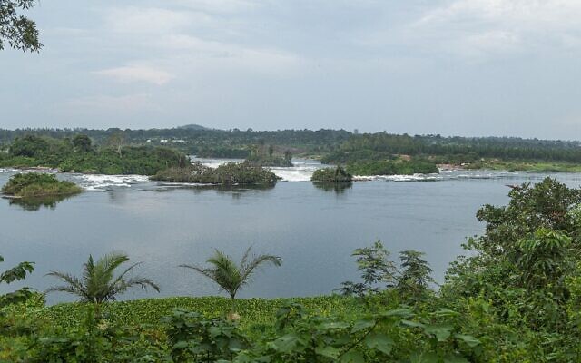Cette photo prise le 7 octobre 2022 montre le fleuve Victoria Nile près de Namiyagi, dans le sud de l'Ouganda. 
 (Crédit : BADRU KATUMBA / AFP)