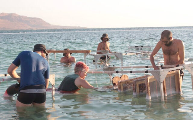 L'artiste Sigalit Landau et son équipe immergeant des objets dans la mer Morte dans le cadre de son processus artistique. (Crédit : Shaxaf Haber)