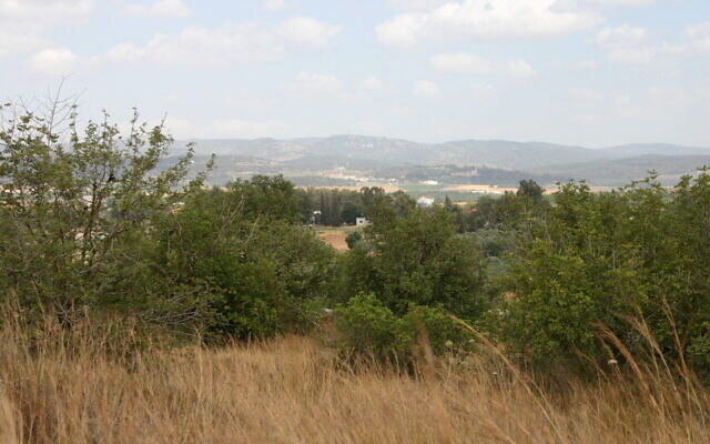 Vue panoramique du parc national de Tel Gezer. (Crédit : Shmuel Bar-Am)