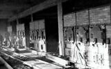 Four crématoire conçu par Topf & Söhne pour Auschwitz-Birkenau, en 1943 (Crédit : Musée national d'Auschwitz-Birkenau)
