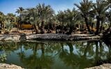 Cette photo, prise le 12 décembre 2022, montre une vue d'une source au centre du camp volcanique de Khaybar dans la vieille ville de l'oasis de Khaybar dans le nord-ouest de l'Arabie saoudite. (Crédit : Mohammad QASIM / AFP)