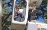 Le maire de Kiryat Shmona, Avichai Stern, sauvant son perroquet, Arthur, à l'aide d'une grue, le 17 décembre 2022. (Crédit : Walla)