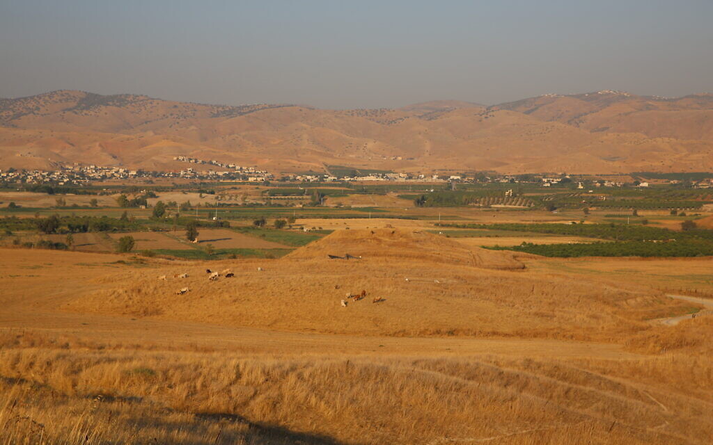 Une vue de Tel Tsaf vers l'Est, avec les montagnes du Jourdain en arrière-plan. (Autorisation : Université de Haïfa)